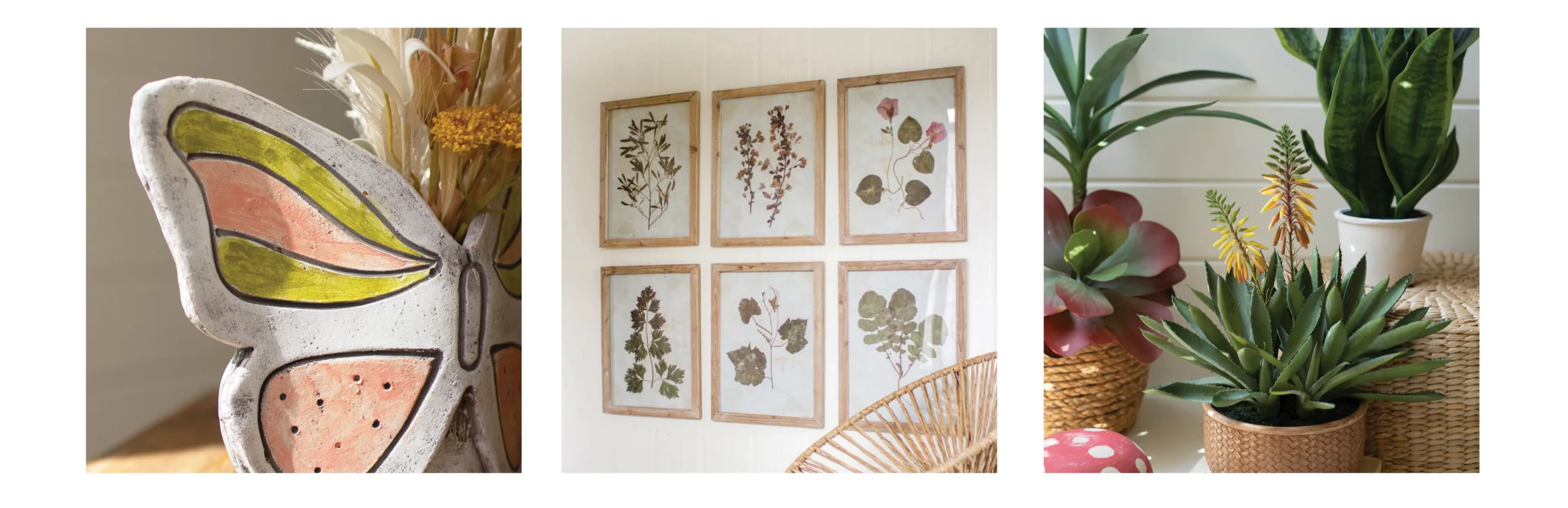 Grid with three images. Ceramic butterfly planter, set of 6 dried botanical prints, and potted succulents