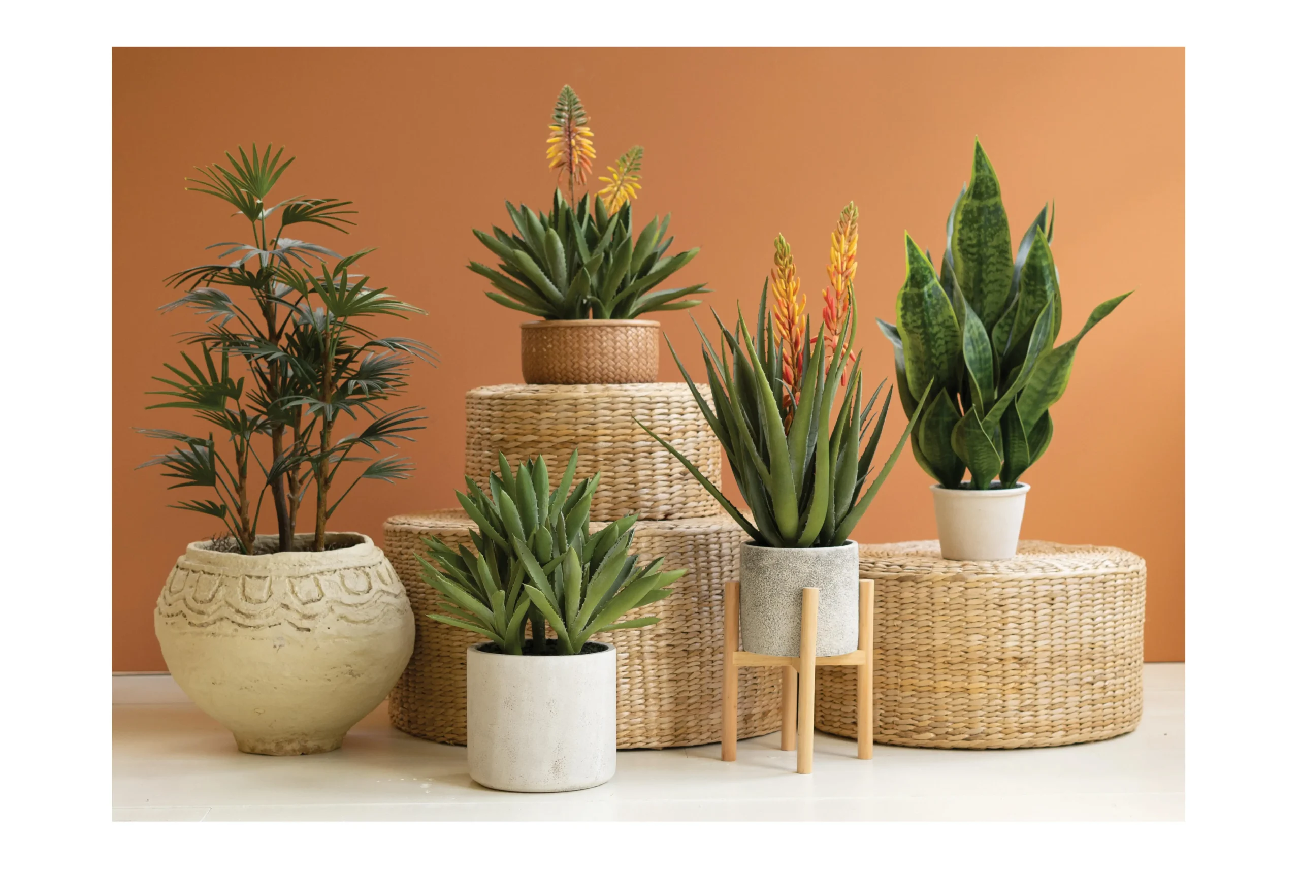 Potted succulents and faux potted plants on seagrass risers
