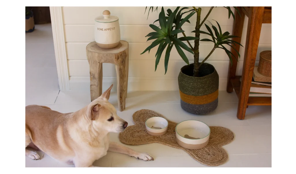 dog next to a seagrass dogbone mat with ceramic bowls